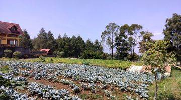 Gambar 5 Tanah View Gunung Dan City View Di Bandung Utara,bandung