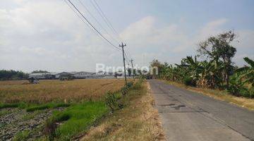 Gambar 3 TANAH KERING ZONA INDUSTRI BOYOLALI