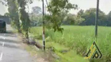 Gambar 3 Dijual Lahan Zona Industri,lokasi Sambung Macan,sragen,15 Ha,bu 