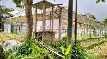 Gambar 4 Tanah dengan pemandangan bukit dan lembah dengan udara sejuk