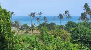 Gambar 3 Tanah Kavling Beachfront View Sawah Laut di Pantai Belong Tabanan