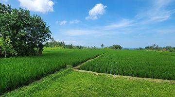 Gambar 4 Tanah Kavling Beachfront View Sawah Laut di Pantai Belong Tabanan