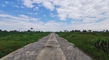 Gambar 5 Dijual Tanah Kavling Murah View Sawah di Tabanan Dekat Ke Pantai