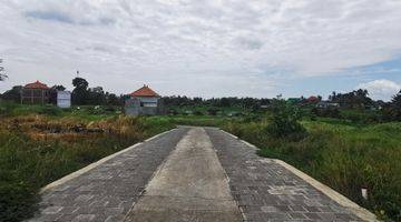 Gambar 1 Dijual Tanah Kavling Murah View Sawah di Tabanan Dekat Ke Pantai