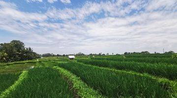 Gambar 1 Dijual Tanah Kavling Murah View Sawah di Tabanan Dekat Ke Pantai