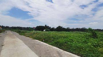 Gambar 2 Dijual Tanah Kavling Murah View Sawah di Tabanan Dekat Ke Pantai