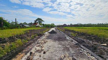 Gambar 3 Land For Sale Tanah Kavling Harga Ekonomis Fase Ke Iii di Area Nyitdah, Kediri. Tabanan