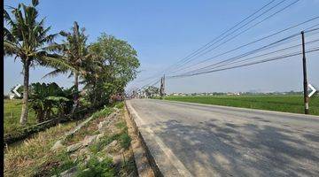 Gambar 2 Tanah Kosong Lokasi Pinggir Jalan Raya Gunung Sari Atau Jalan Raya Ir Sutami, Mauk Tangerang