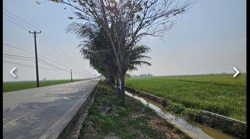 Gambar 3 Tanah Kosong Lokasi Pinggir Jalan Raya Gunung Sari Atau Jalan Raya Ir Sutami, Mauk Tangerang