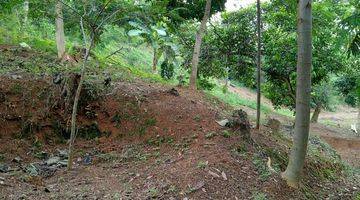 Gambar 4 Jual Tanah Kebun View Pegunungan Listrik Sdah Trsedia Strategis