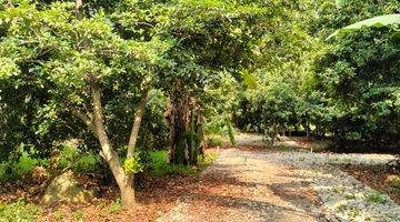 Gambar 3 Tanah Kavling Kebun Sawo Sudah Shm Konsep Rumah Kebun Dan Villa