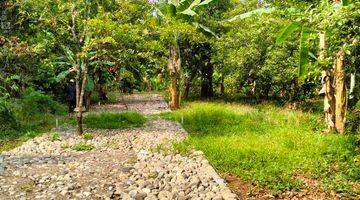 Gambar 2 Tanah Kavling Kebun Sawo Sudah Shm Konsep Rumah Kebun Dan Villa