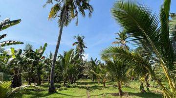 Gambar 4 Dijual Tanah Beach Front di Pantai Melaya Jembrana, Bali