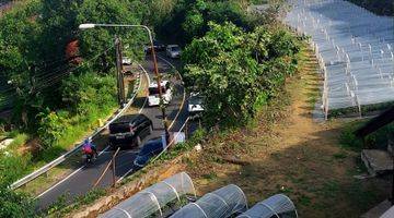 Gambar 4 For Sale Strawberry Farm and Resto at Baturiti, Bedugul