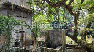 Gambar 4 Gudang + Rumah + Rumah walet Dijual