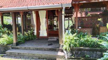 Gambar 5 Villa Fully Furnished di Ubud, Gianyar Bali