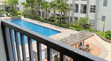 Gambar 2 Dijual Cepat Apartment Saveria 1BR Terawat