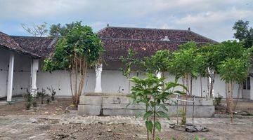 Gambar 2 Rumah Dan Sarang Burung Walet Lt 1.850 M2 Lasem Rembang Jawa Tengah