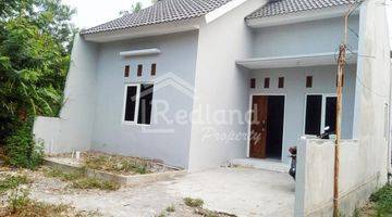 Gambar 1 Rumah di Widoro , Sembungharjo Genuk , Semarang Hl 5777 