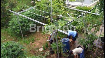 Gambar 3 Rumah bonus tanah kebun luas. Dengan empang( kolam ikan).Lokasi di pinggir jalan Raya Ranca bungur Bogor.