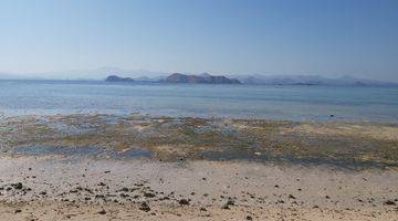 Gambar 3 Tanah los pantai di labuhan bajo, Tanah di labuan bajo