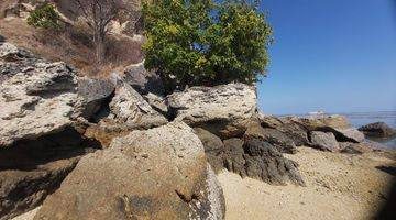 Gambar 5 Tanah los pantai di labuhan bajo, Tanah di labuan bajo