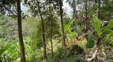 Gambar 3 For Sale Investable Land In Keliki Ubud