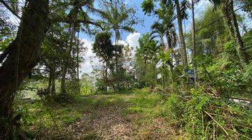 Gambar 2 For Sale Investable Land In Keliki Ubud