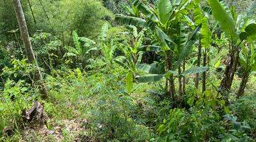 Gambar 1 For Sale Investable Land In Keliki Ubud