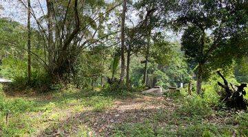 Gambar 5 For Sale Investable Land In Keliki Ubud