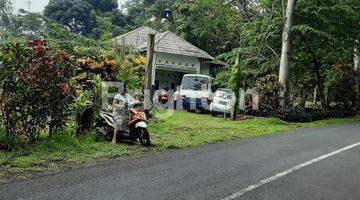 Gambar 5 Sukulelo Prigen Pasuruan Tanah Cocok Banget di buat Hotel n Villa