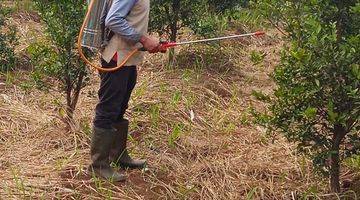 Gambar 2 Kebun Produktif Masuk Mobil Pinggir Jalan Panen Terus