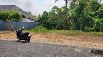 Gambar 1 Tanah di Greenlot, Munggu, Badung SHM 9.300 m²