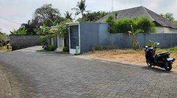 Gambar 4 Tanah di Greenlot, Munggu, Badung SHM 9.300 m²