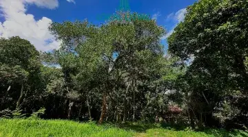 Gambar 2 Tanah Seluas 5810 M2 di Tumbak Bayuh Dengan View Sawah Dan Sungai