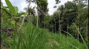 Gambar 5 Lahan Kosong di Madangan, Gianyar, Bali