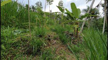 Gambar 1 Lahan Kosong di Madangan, Gianyar, Bali