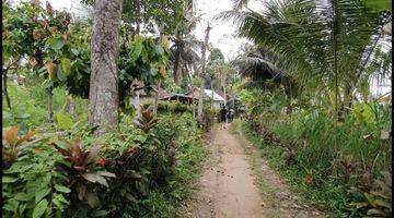 Gambar 3 Lahan Kosong di Madangan, Gianyar, Bali