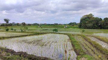 Gambar 5 Jual tanah sawah 24 are hrg 35 jt/are lokasi demung kediri