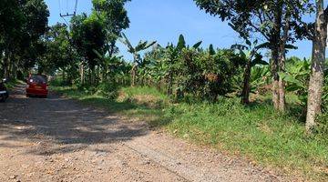 Gambar 3 Tanah Sawah dan Kebundi Cianjur Jawa Barat Luas 27 Hektar