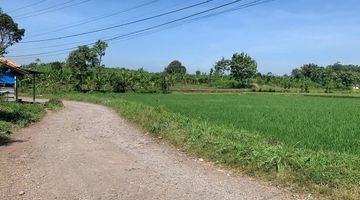 Gambar 1 Tanah Sawah dan Kebundi Cianjur Jawa Barat Luas 27 Hektar