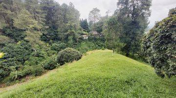 Gambar 4 VILLA KOLONIAL CANTIK VIEW HUTAN PINUS AREA CILOTO PUNCAK