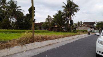 Gambar 4 Tanah Villa Magelang Dekat Candi Borobudur, SHM