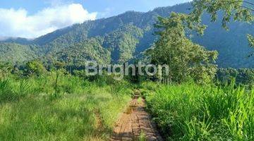 Gambar 2 Lahan dipinggir Danau Candi kuning Bedugul dengan luas 2800m²,Lahan sangat prospek cocok untuk investasi , bisnis wisata outdoor lingkungan sejuk dan dekat dengan banyak area wisata