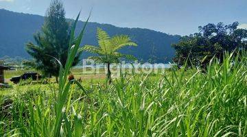 Gambar 5 Lahan dipinggir Danau Candi kuning Bedugul dengan luas 2800m²,Lahan sangat prospek cocok untuk investasi , bisnis wisata outdoor lingkungan sejuk dan dekat dengan banyak area wisata