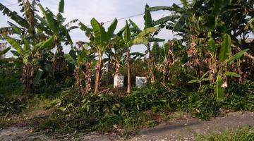 Gambar 4 Tanah Lahan Kosong di Jalan Prof Dr Hamka Ngaliyan Semarang Barat Sangat Strategis