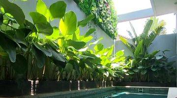 Gambar 2 Modern Tropical 2br Villa At Canggu For Sale SHM Freehold