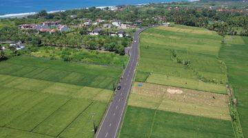 Gambar 5 Tanah 10,9are di Kedungu, Jalan Kaki Ke Bali Beach Glamping