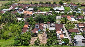 Gambar 4 Tanah Plot Kecil Murah View Sawah Pandak Gede Tabanan Bali
