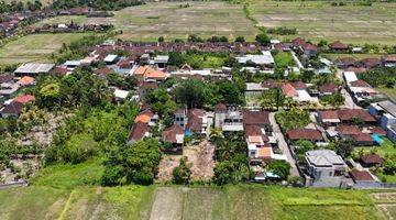 Gambar 5 Tanah Plot Kecil Murah View Sawah Pandak Gede Tabanan Bali
